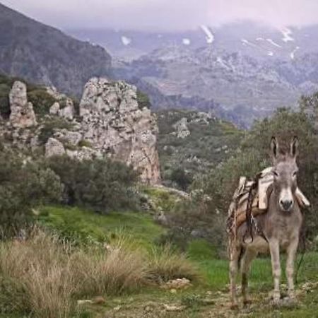 Traditional Cretan House Lithostrati Karidi Village Esterno foto