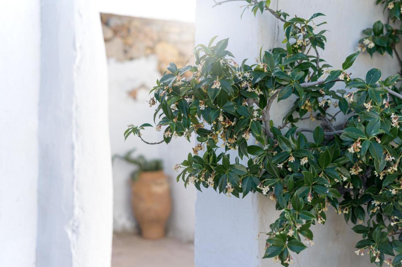 Traditional Cretan House Lithostrati Karidi Village Esterno foto