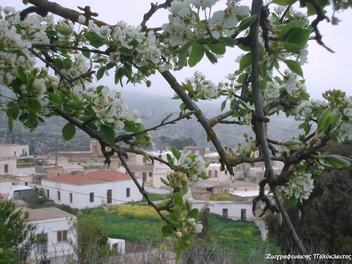Traditional Cretan House Lithostrati Karidi Village Esterno foto