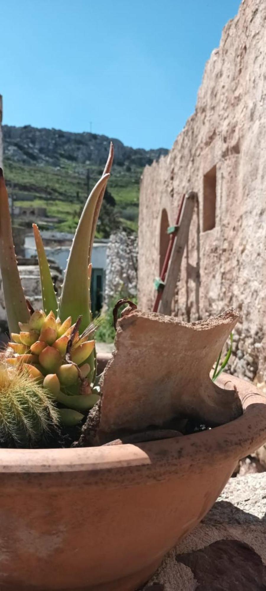 Traditional Cretan House Lithostrati Karidi Village Esterno foto